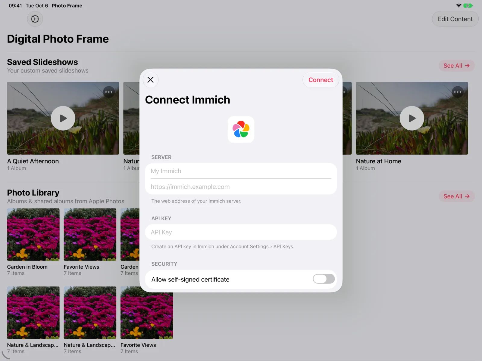 Einen Immich-Server in der Digital Photo Frame App verbinden