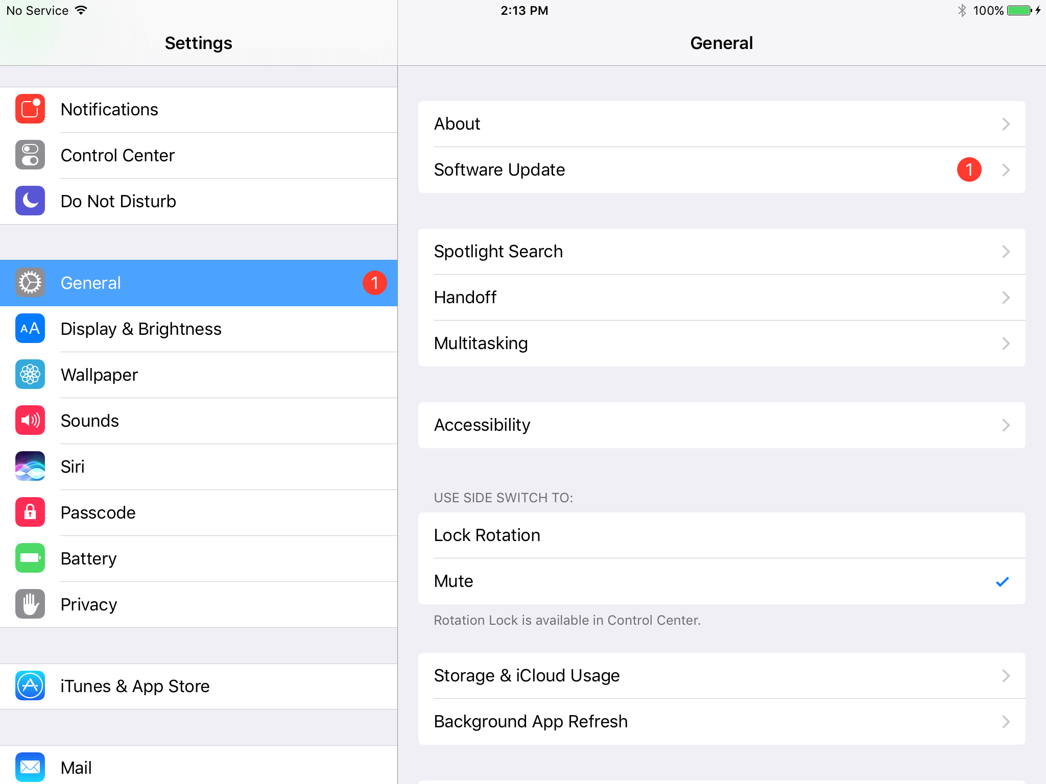iPad Settings app showing Accessibility menu option